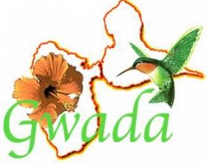                                      Gwada